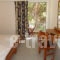 Camelia_holidays_in_Hotel_Dodekanessos Islands_Kos_Kos Chora