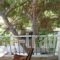 Camelia_best prices_in_Hotel_Dodekanessos Islands_Kos_Kos Chora