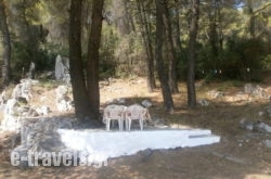 Villa Sandra_s __1