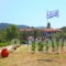 Studios Pelagos_holidays_in_Apartment_Sporades Islands_Skopelos_Panormos