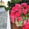Soleil Studios And Apartments_lowest prices_in_Apartment_Crete_Heraklion_Stalida