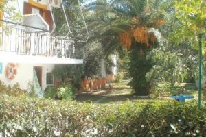 Studios Dimitris_travel_packages_in_Sporades Islands_Skiathos_Skiathoshora