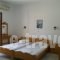 Studios Katerina_accommodation_in_Hotel_Cyclades Islands_Naxos_Naxos Chora