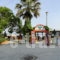 Captain's Beach Apartments_travel_packages_in_Aegean Islands_Thasos_Thasos Rest Areas
