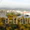 Captain's Beach Apartments_lowest prices_in_Apartment_Aegean Islands_Thasos_Thasos Rest Areas