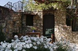 Traditional Houses_s __1