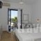 Arokaria Dreams_best deals_Apartment_Cyclades Islands_Paros_Piso Livadi