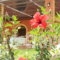 Sunrise Inn_travel_packages_in_Ionian Islands_Kefalonia_Kefalonia'st Areas