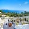 Irida Aegean View_holidays_in_Apartment_Sporades Islands_Skiathos_Skiathos Chora