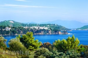 Irida Aegean View_best deals_Apartment_Sporades Islands_Skiathos_Skiathos Chora