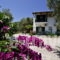 Katerina Pension_accommodation_in_Room_Sporades Islands_Skopelos_Panormos