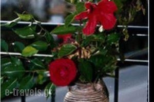Ionion Hotel_holidays_in_Hotel_Ionian Islands_Lefkada_Sivota