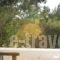 Casa Di Mare_best prices_in_Hotel_Crete_Lasithi_Palaekastro