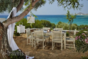 Villa Paradise_lowest prices_in_Villa_Cyclades Islands_Naxos_Agia Anna