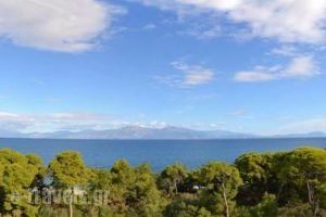 Miramare Hotel_holidays_in_Hotel_Peloponesse_Korinthia_Xilokastro
