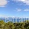 Miramare Hotel_holidays_in_Hotel_Peloponesse_Korinthia_Xilokastro