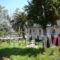 Juli Apartments_best prices_in_Apartment_Macedonia_Halkidiki_Nea Potidea