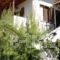 Stella Rooms_accommodation_in_Room_Thessaly_Magnesia_Pilio Area