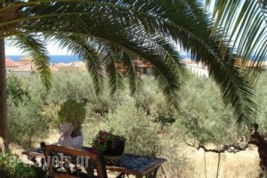Stella Rooms_best deals_Room_Thessaly_Magnesia_Pilio Area