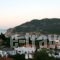 Albatros Rooms_best prices_in_Apartment_Sporades Islands_Skopelos_Skopelos Chora
