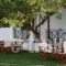 Albatros Rooms_holidays_in_Apartment_Sporades Islands_Skopelos_Skopelos Chora
