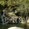 Youth Hostel Plakias_accommodation_in_Room_Crete_Rethymnon_Plakias