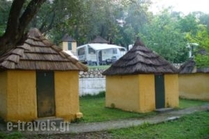 Dionysus Camping Village_best prices_in_Room_Ionian Islands_Corfu_Corfu Rest Areas