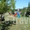 Villa Litsa_holidays_in_Villa_Ionian Islands_Corfu_Vatos