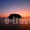 Petrino Guesthouse_accommodation_in_Hotel_Peloponesse_Lakonia_Monemvasia