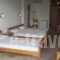 Alexander_accommodation_in_Hotel_Piraeus Islands - Trizonia_Aigina_Agia Marina