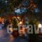 Pontios_lowest prices_in_Hotel_Aegean Islands_Thasos_Chrysi Ammoudia
