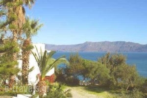 Delfini - Dimitris - Chryssanni_accommodation_in_Apartment_Crete_Chania_Kissamos