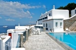 Alex Hotel_s __1