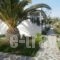 Princess Studios_travel_packages_in_Dodekanessos Islands_Karpathos_Karpathos Chora