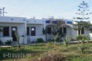Princess Studios_accommodation_in_Hotel_Dodekanessos Islands_Karpathos_Karpathos Chora