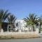 Princess Studios_best prices_in_Hotel_Dodekanessos Islands_Karpathos_Karpathos Chora