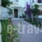 Evgenia Apartments_best prices_in_Apartment_Sporades Islands_Skiathos_Skiathos Chora