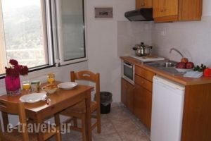 Chrisanthi Studios & Apartments_best prices_in_Apartment_Crete_Rethymnon_Plakias