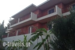 Anna Studios_s __1