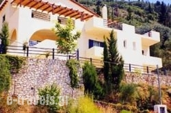 Green Villa_s __1