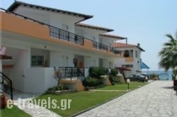 Ekavi_s __1