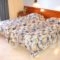 Irene Apartments_lowest prices_in_Apartment_Dodekanessos Islands_Karpathos_Karpathos Chora