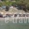 Alpha Studios_best prices_in_Hotel_Dodekanessos Islands_Karpathos_Karpathos Chora