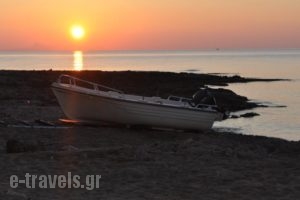 Corali Beach_holidays_in_Hotel_Crete_Rethymnon_Rethymnon City