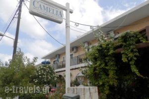 Camelia_holidays_in_Apartment_Crete_Chania_Stalos