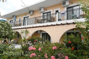 Camelia_travel_packages_in_Crete_Chania_Stalos