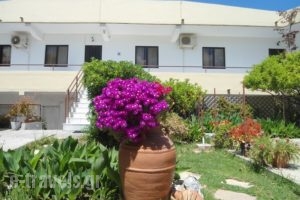 Evi Apartments And Studios_travel_packages_in_Dodekanessos Islands_Rhodes_Theologos