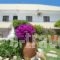 Evi Apartments And Studios_travel_packages_in_Dodekanessos Islands_Rhodes_Theologos