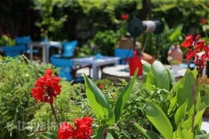 Eleni Rooms_best deals_Hotel_Cyclades Islands_Paros_Paros Chora