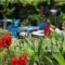 Eleni Rooms_best deals_Hotel_Cyclades Islands_Paros_Paros Chora
